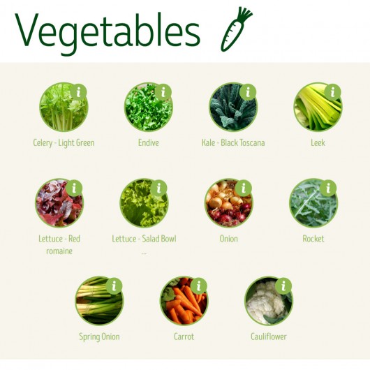 Herbs Seeds Choices